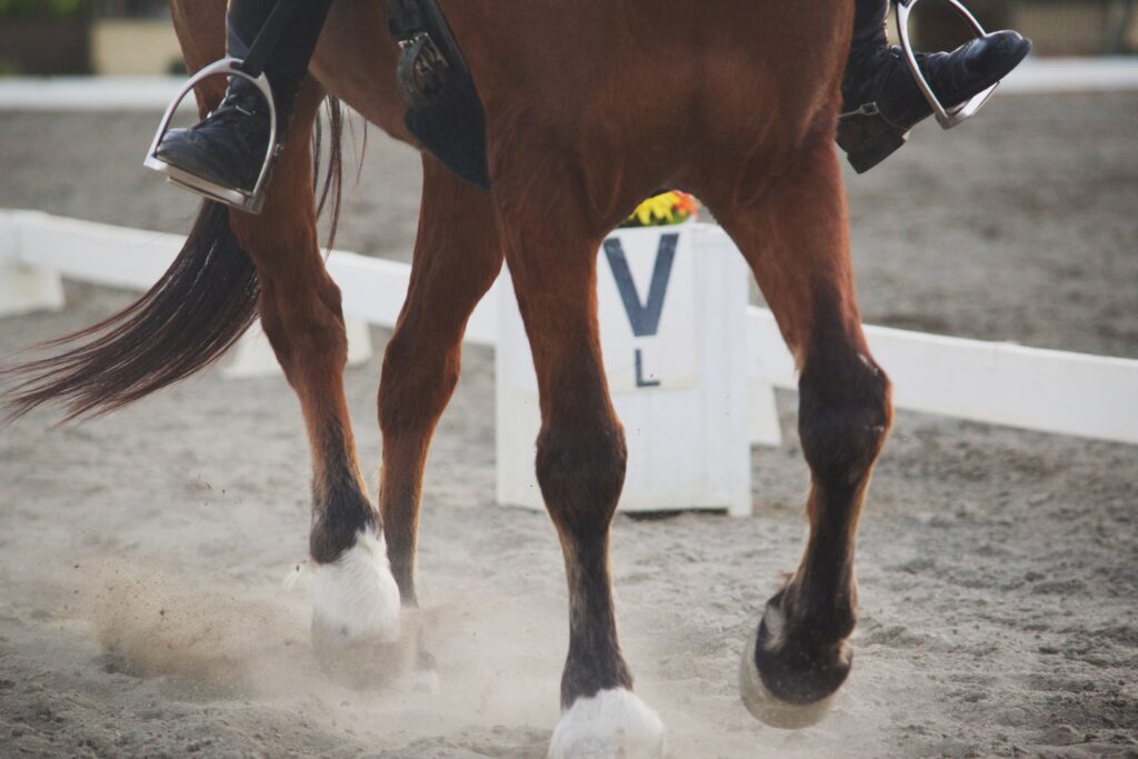 Alter Ego to improve your riding