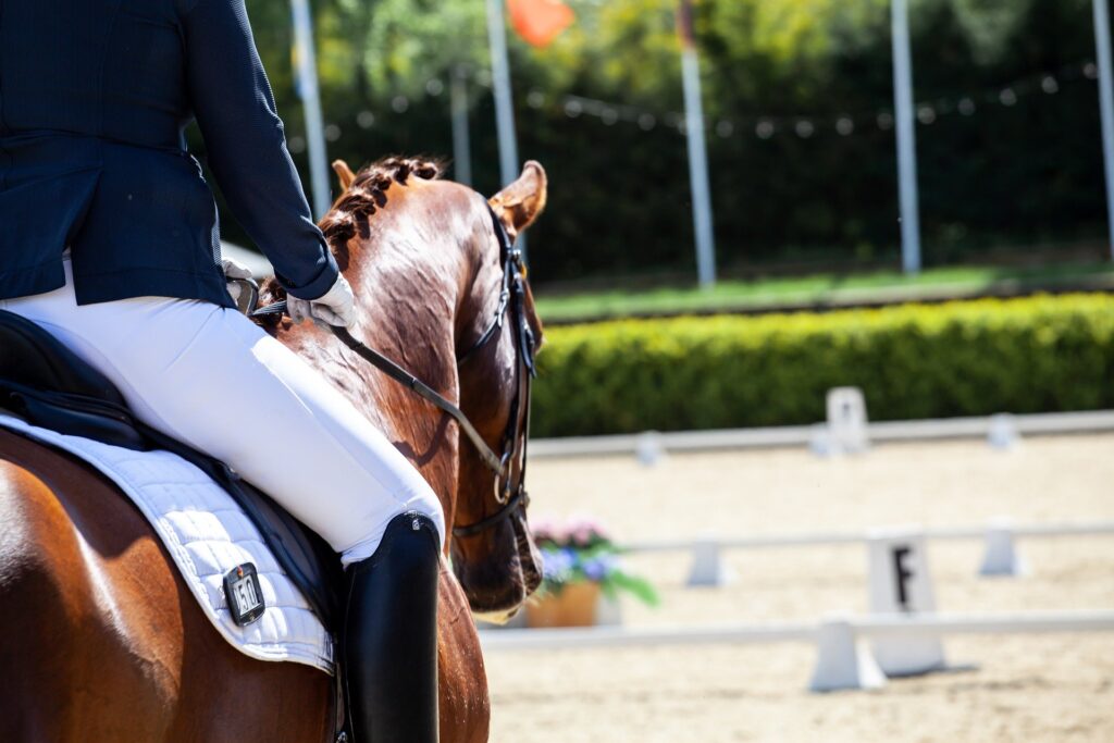 lost riding motivation