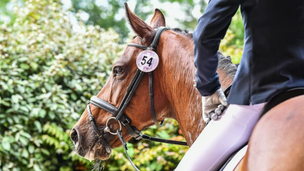 mindset controls your riding